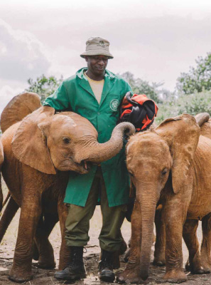 David Sheldrick Wildlife Trust